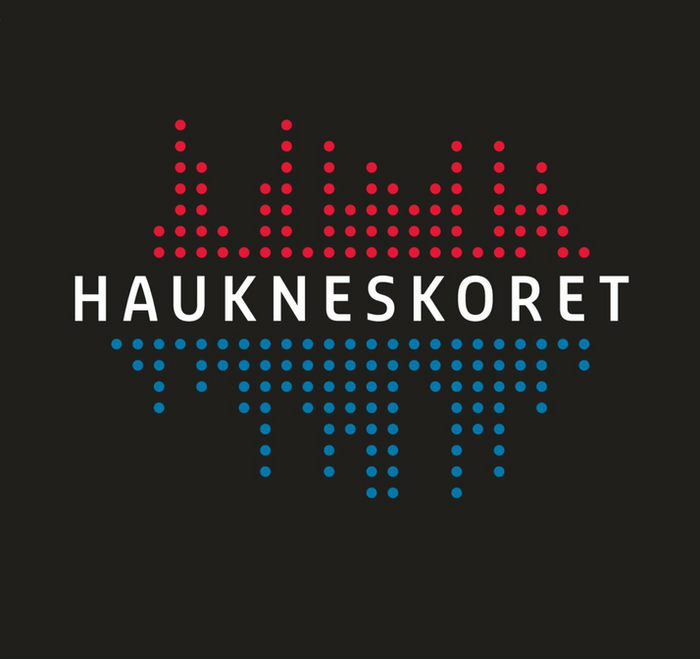 Haukneskoret