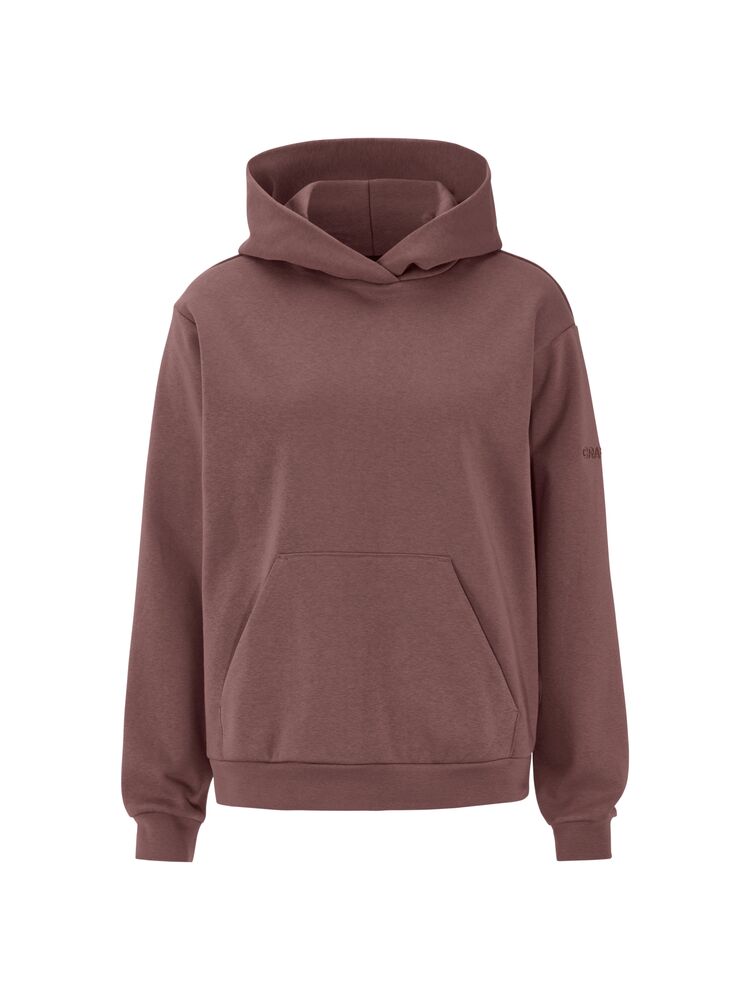 Community 2.0 Hoodie Dame – Flint