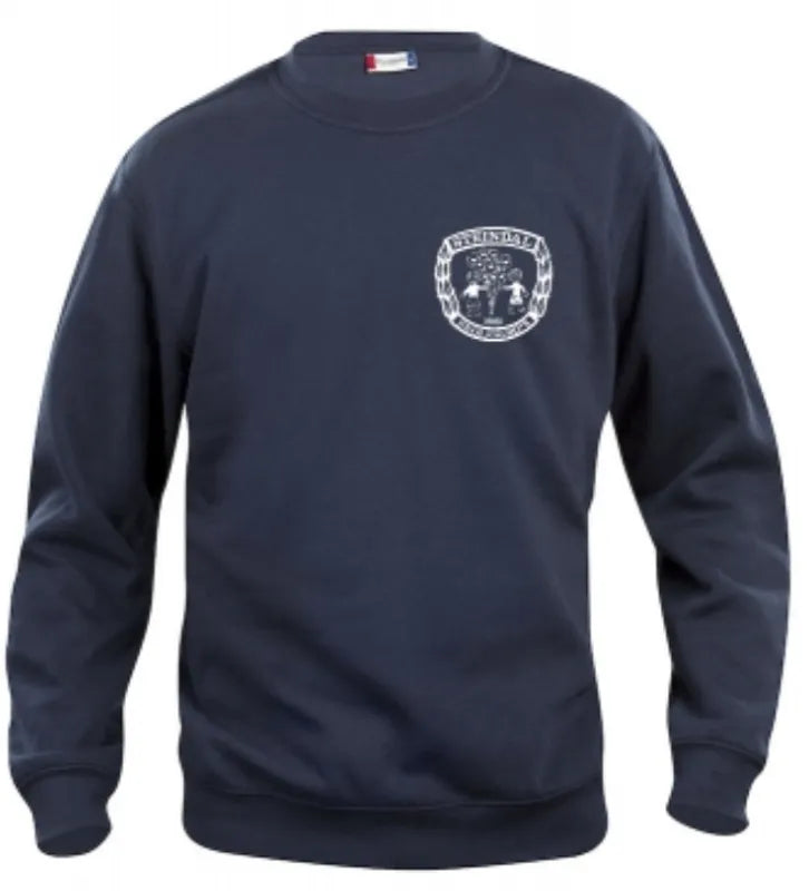 Collegegenser Junior Steindal Skolekorps